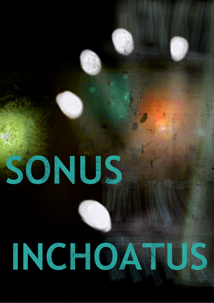 Sonus Inchoatus - Martha Mooke, Electro-Acoustic Violist / Composer / Producer / Clinician & Educator