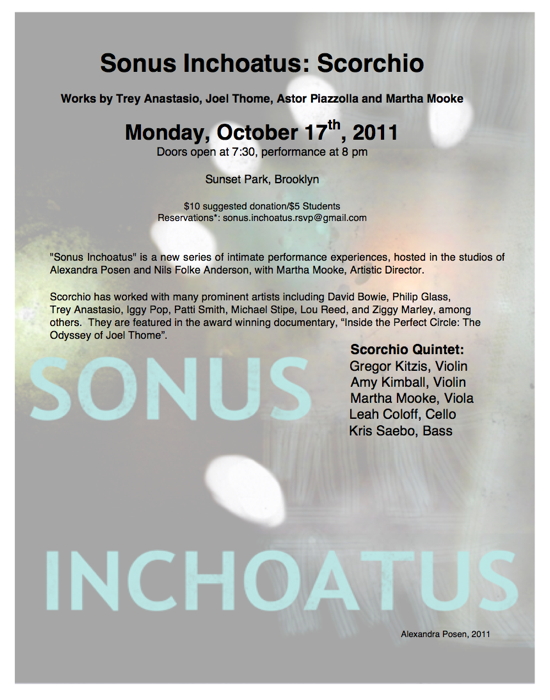 Sonus Inchoatus - Martha Mooke, Electro-Acoustic Violist / Composer / Producer / Clinician & Educator
